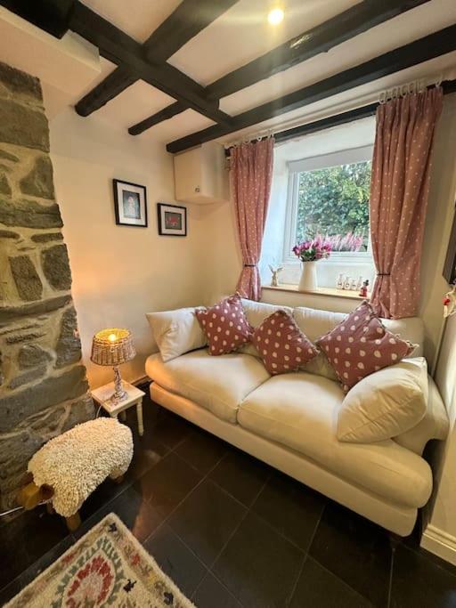 Love Lane Cottage Dolgellau Dış mekan fotoğraf