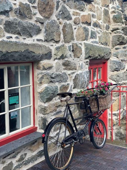 Love Lane Cottage Dolgellau Dış mekan fotoğraf