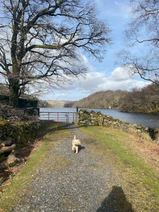 Love Lane Cottage Dolgellau Dış mekan fotoğraf